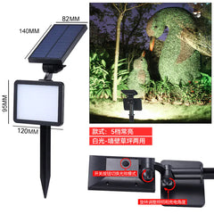 Amazon Solar Garden Pathway Lights for Festive Decor