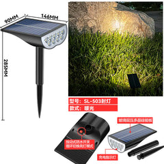 Amazon Solar Garden Pathway Lights for Festive Decor