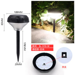 Amazon Solar Garden Pathway Lights for Festive Decor