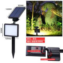 Amazon Solar Garden Pathway Lights for Festive Decor