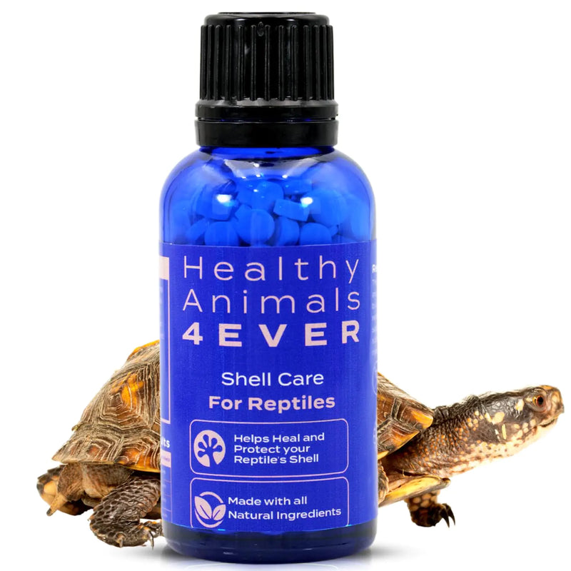 HealthyAnimals4Ever Reptile Shell Care - Natural Support for Shell Rot Tissue Repair & Shell Health - Safe Homeopathic Formula for Resilient Shells - 300 Count